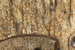 Anano, Masque, A Pied