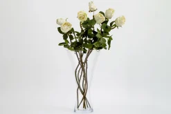 Belluno, Vase, Verre, L