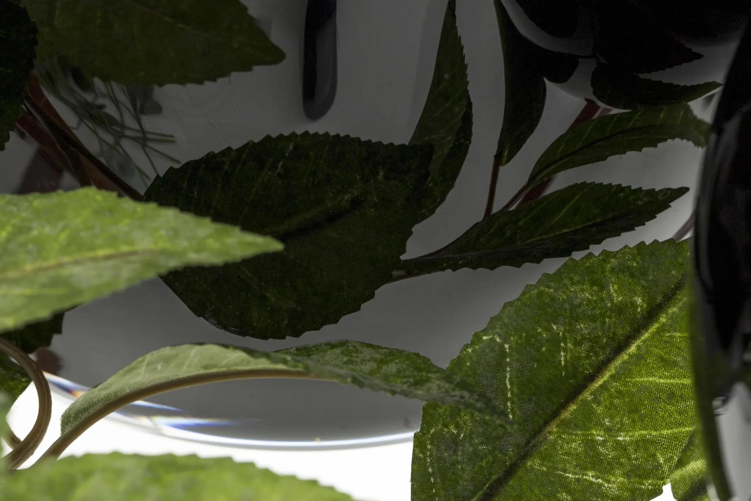 Chiaz, Vase, Verre, Noir