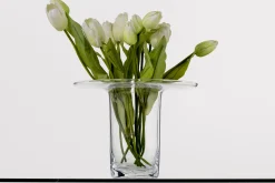 Cratere, Vase, Verre