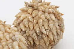 Darcio, Boule Deco, L