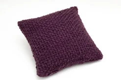 Einstein, Coussin, Violet