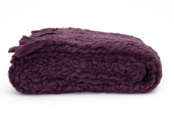 Einstein, Plaid, Violet