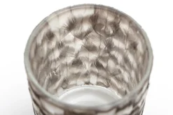 Hannigan, Photophore, Plumes, L