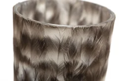 Hannigan, Photophore, Plumes, S