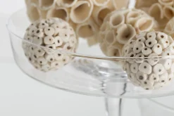 Kira, Plat, Sur Pied, Verre, L