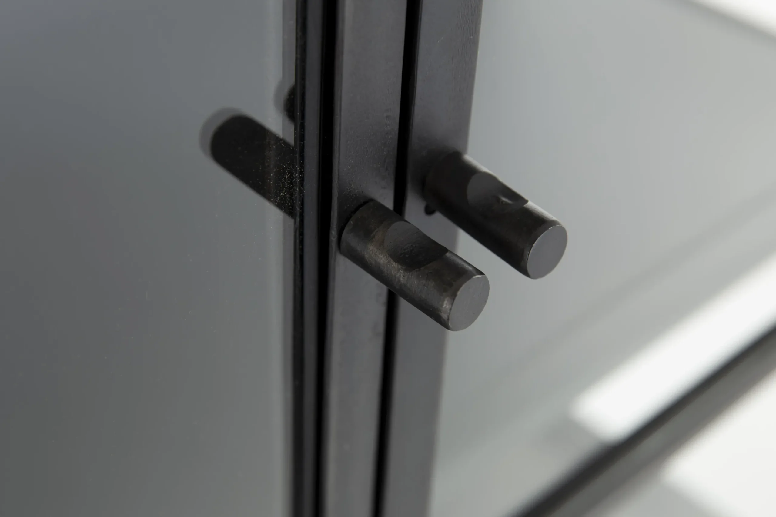 Laurance, Vitrine, Noir, Metal, 2 Portes