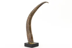 Lucarne, Deco, Corne