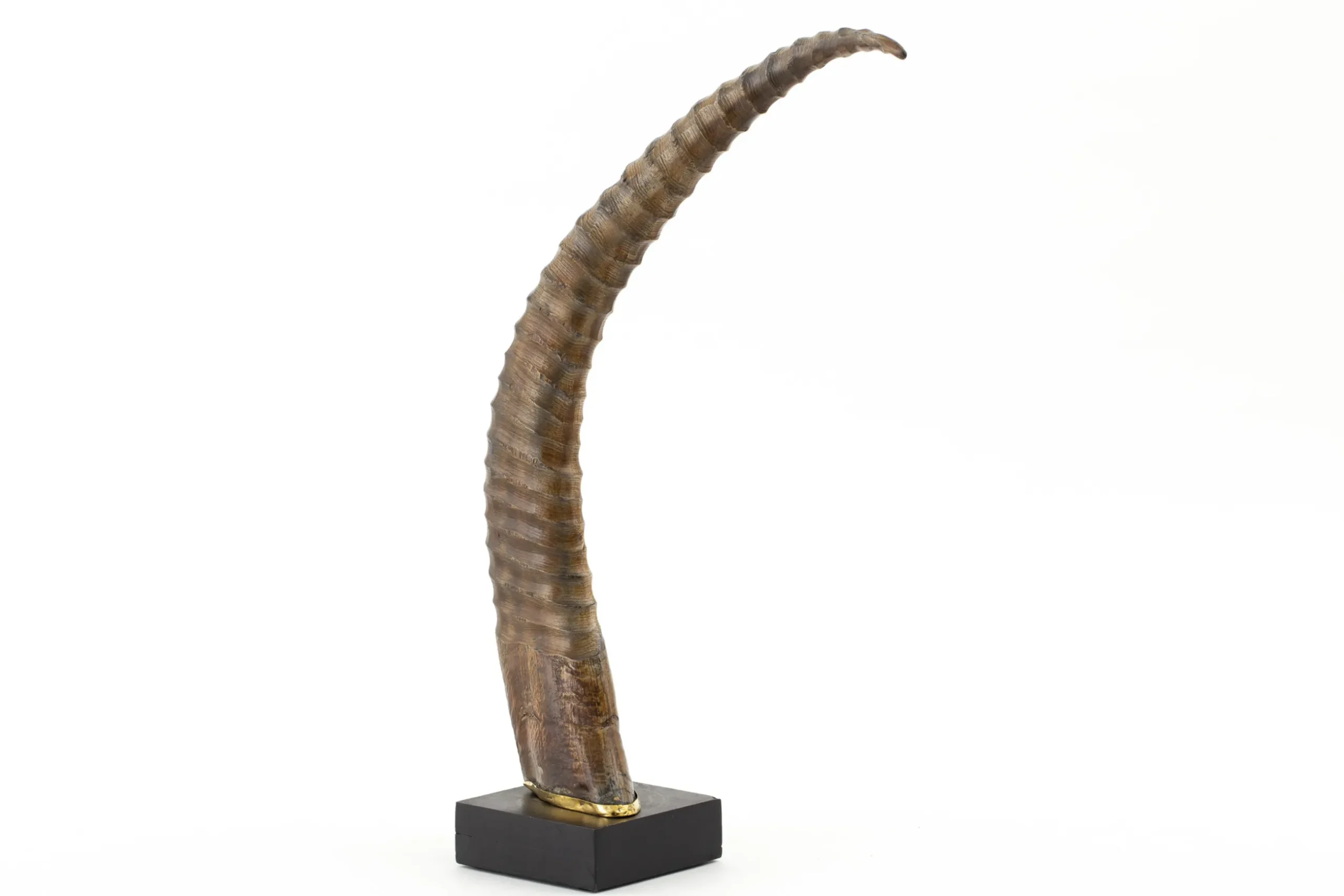 Lucarne, Deco, Corne