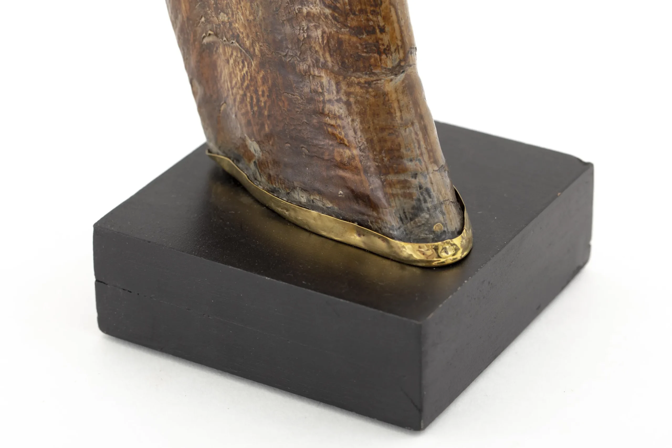 Lucarne, Deco, Corne