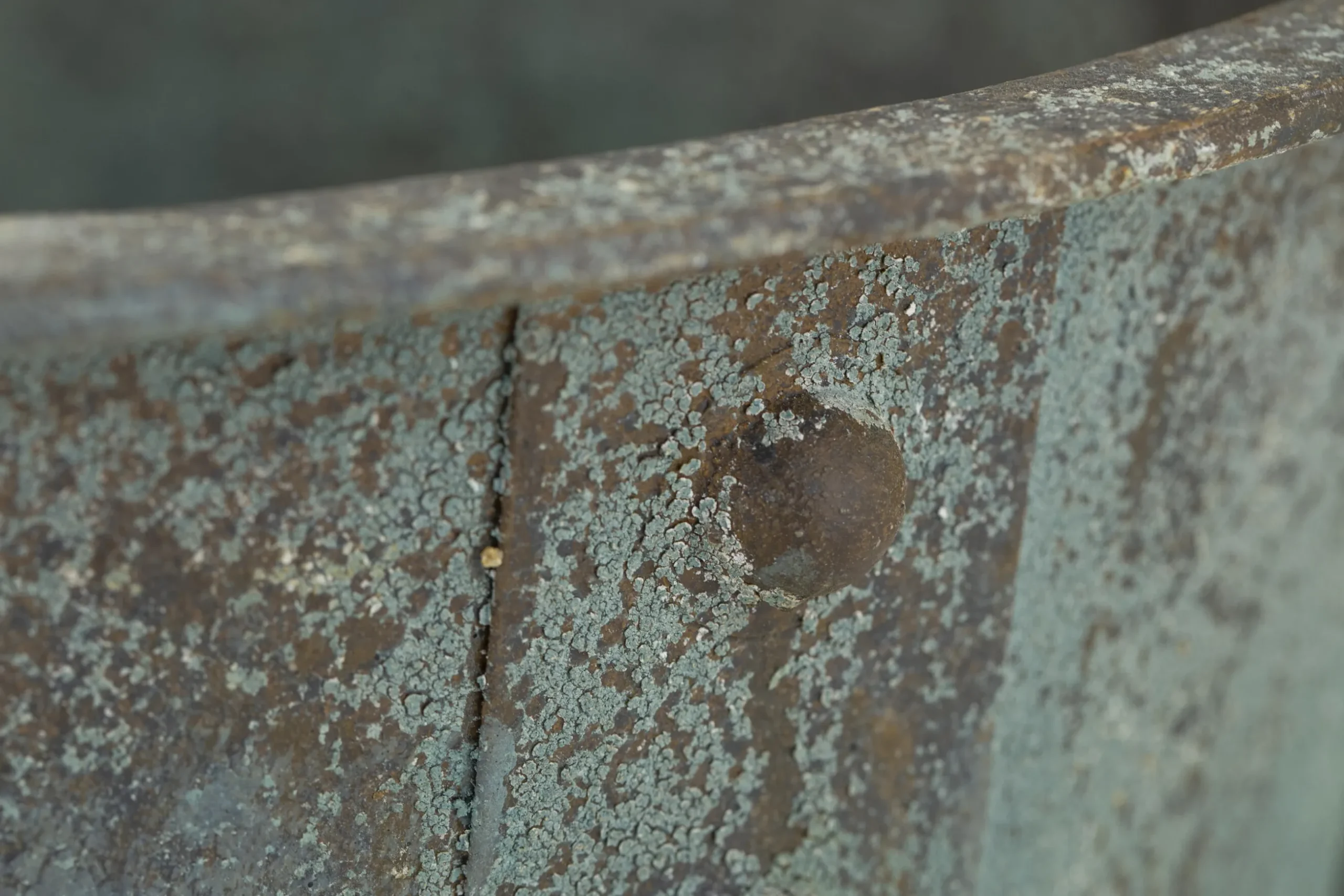 Manoli, Jardiniere, L