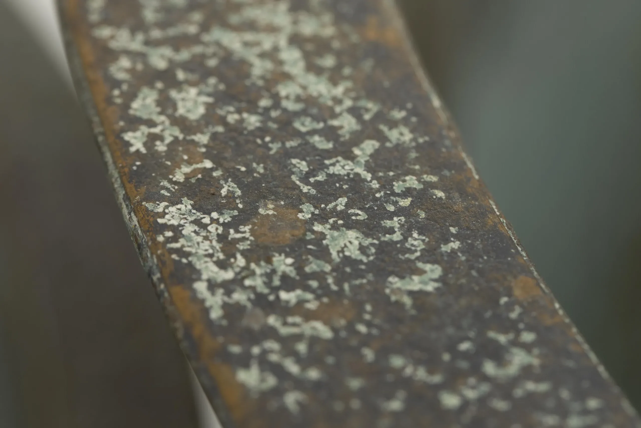 Manoli, Jardiniere, L