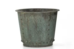 Manoli, Jardiniere, S