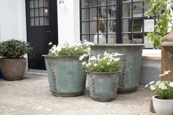 Manoli, Jardiniere, S