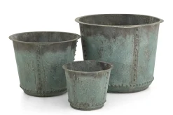 Manoli, Jardiniere, S