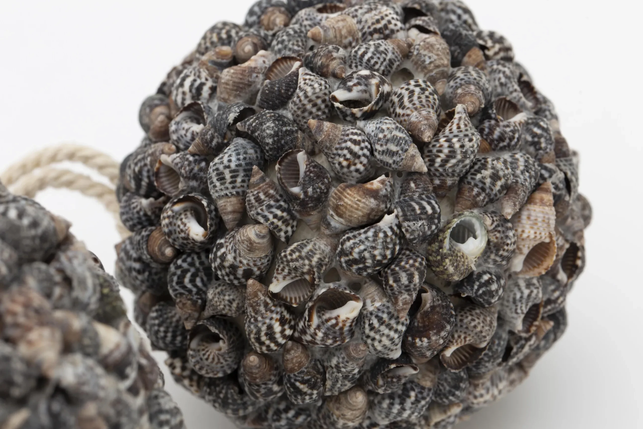 Maranza, Boule Deco, S