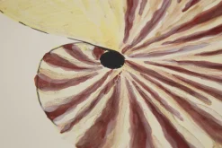 Maskorra, Bol, Coquille