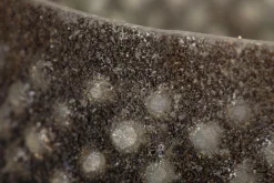 Max, Lampe Eolienne, Verre, S