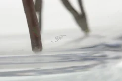 Mirac, Vase, Verre, H30