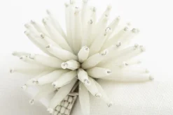 Parton, Rond De Serviette, Perles