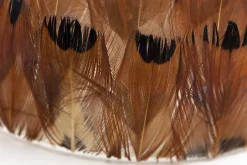 Sterling, Photophore, Plumes, L