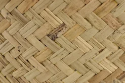 Tizio, Jardiniere, L