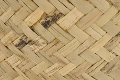 Tizio, Jardiniere, M