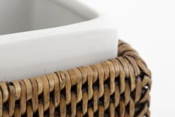 Togo, Porte Dentifrice, Roseau