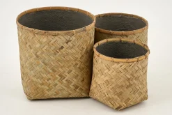 Topix, Jardiniere, S